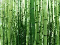 изготовление бамбуковых обоев